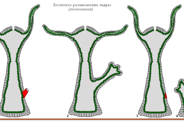 Регистрация на сайте кракен