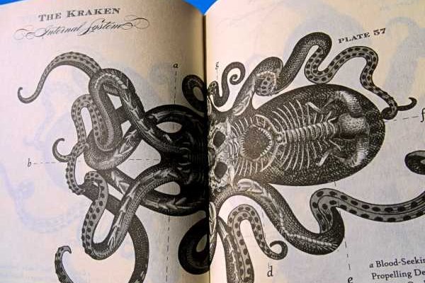 Kra32.at