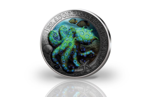 Ссылка для входа на сайт kraken