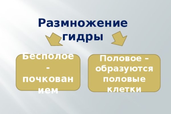 Kraken ссылка актуальная