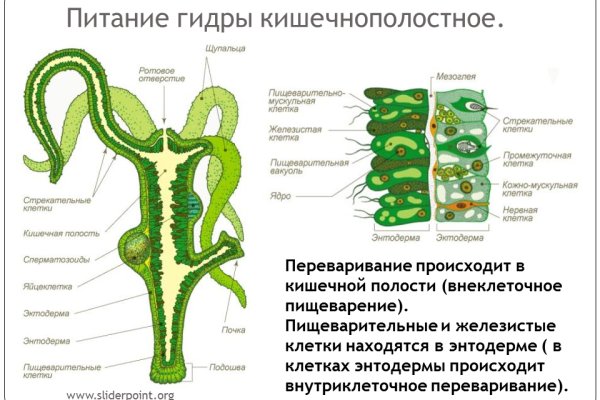 Кракен 2krnk