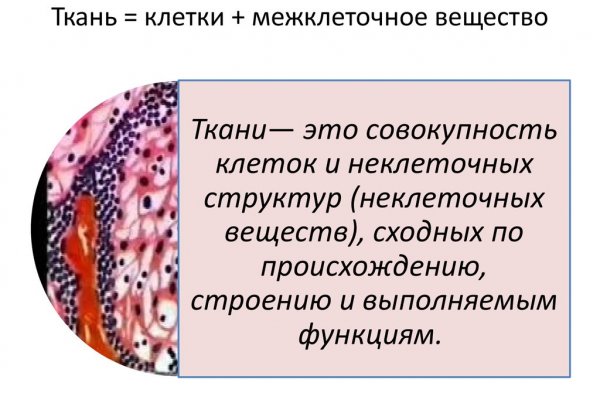 Кракен сайт бошки