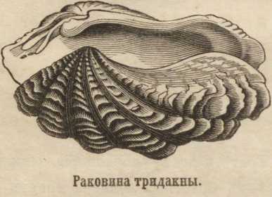 Кракен ссылка новая
